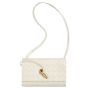 Bottega Veneta Andiamo Pouch