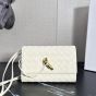 Bottega Veneta Andiamo Pouch