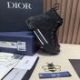Dior B23 High-Top Sneaker