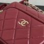 CHANEL Small Camera Case