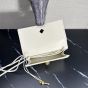 Bottega Veneta Andiamo Pouch