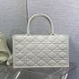 Medium Dior Book Tote