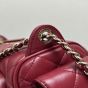 CHANEL Small Camera Case