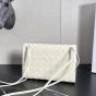 Bottega Veneta Andiamo Pouch