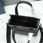 Dior Safari North-South Tote Bag
