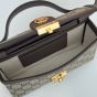 Gucci Ophidia mini bag