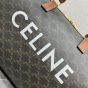 MEDIUM TRAVEL BAG IN TRIOMPHE CANVAS WITH CELINE PRINT