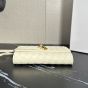Bottega Veneta Andiamo Pouch