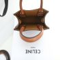 MINI VERTICAL CABAS IN TRIOMPHE CANVAS AND CALFSKIN WITH CELINE PRINT