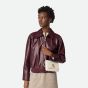 Bottega Veneta Andiamo Pouch