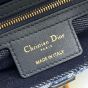 Dior Saddle Bag with Strap