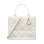 Small Dior Book Tote