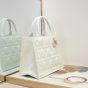 Small Dior Book Tote