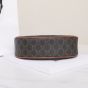 Celine MEDIUM AVA TRIOMPHE BAG IN TRIOMPHE CANVAS AND CALFSKIN