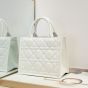 Small Dior Book Tote