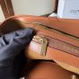 Celine MEDIUM CABAS IN TRIOMPHE CANVAS AND CALFSKIN