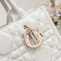 Small Dior Book Tote