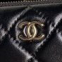 CHANEL Small Camera Case