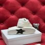 Dior Star Sneaker