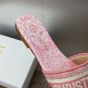 Dior iviera Dway Slide