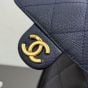 CHANEL 25 Small Handbag