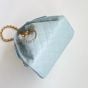 CHANEL 25 Small Handbag