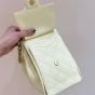CHANEL 25 Small Handbag