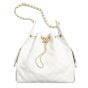 CHANEL 25 Medium Handbag