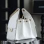 CHANEL 25 Small Handbag