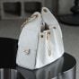 CHANEL 25 Small Handbag