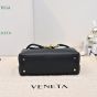 Bottega Veneta Small Ciao Ciao