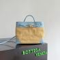 Bottega Veneta Small Andiamo