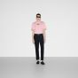 Gucci Printed cotton jersey T-shirt