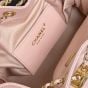 CHANEL 25 Small Handbag
