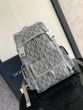 Large Dior Hit the Road Backpack