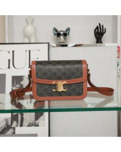 Celine Classique Triomphe Bag in Triomphe Canvas and Calfskin