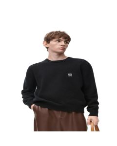 LOEWE Sweater in wool