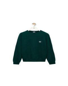 LOEWE Sweater in wool