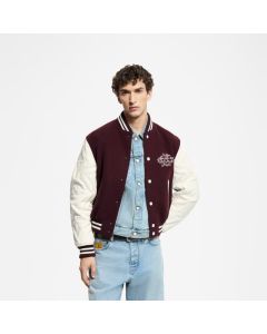 LV Embroidered Calfskin Varsity Jacket