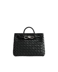 Bottega Veneta Small Andiamo