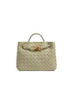 Bottega Veneta Small Andiamo