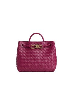 Bottega Veneta Small Andiamo