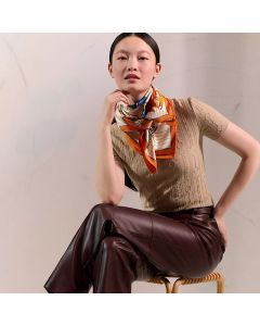 Hermès Tous en Selle scarf 90
