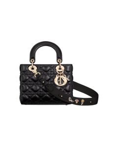 Small Lady Dior My ABCDior Bag