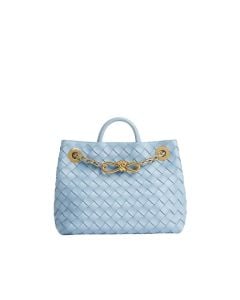 Bottega Veneta Small Andiamo With Chain