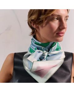 Hermès Botanica Grafica double face scarf 90