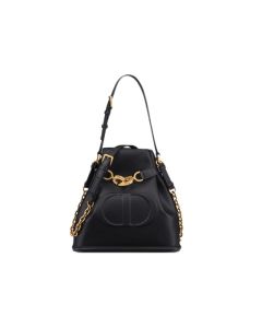 Medium C'est Dior Bag