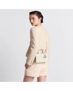 Mini Dior Book Tote