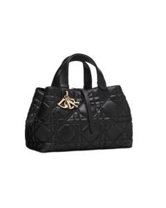 Medium Dior Toujours Bag