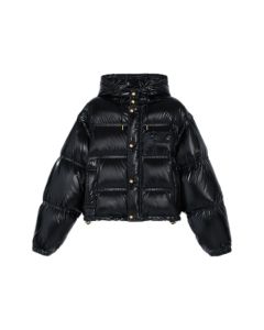 Celine cropped triomphe down jacket in lightweight nylon
